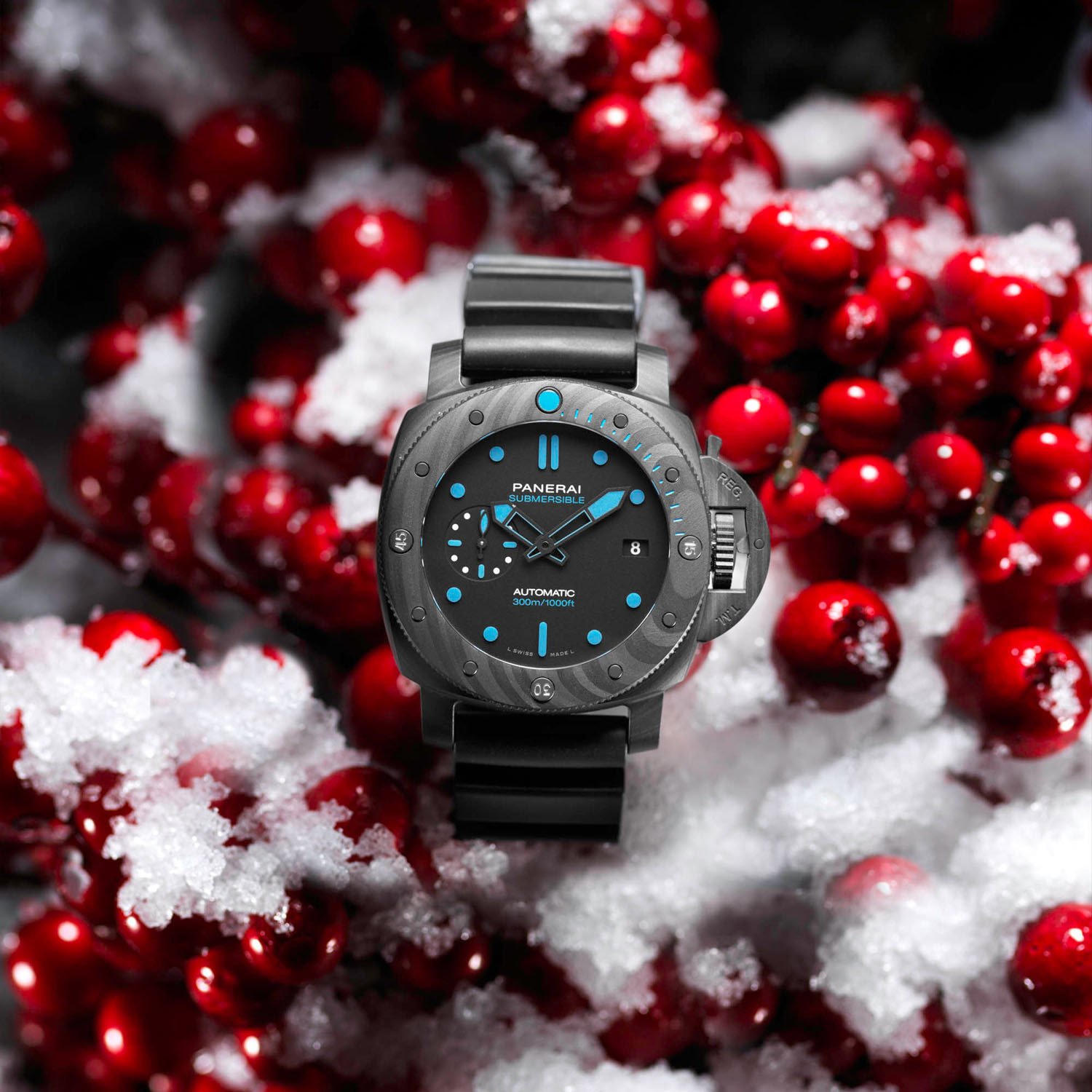 Adamo Moses PANERAI XMAS